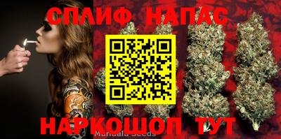 spice Лесосибирск