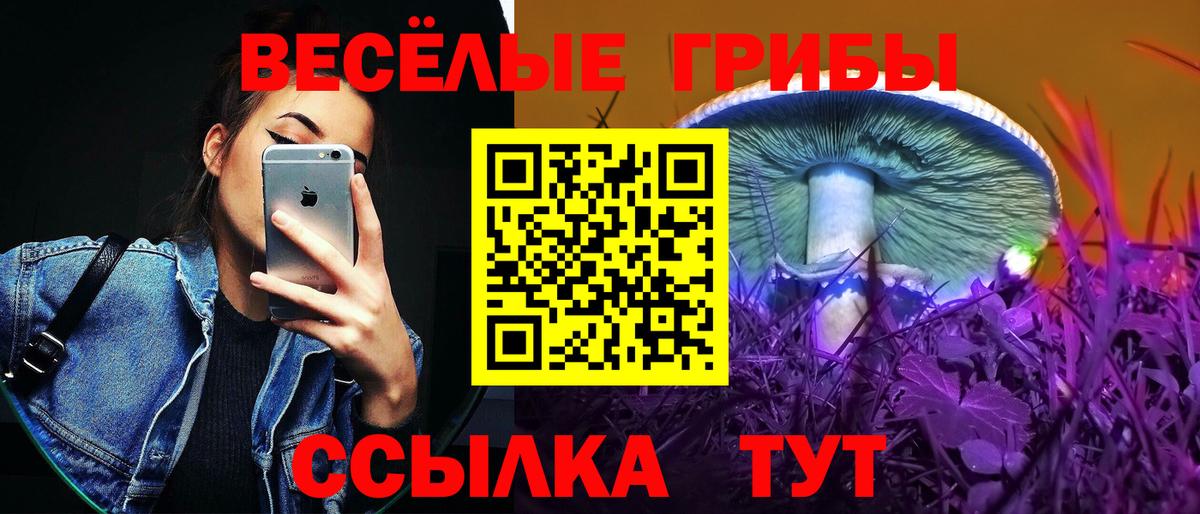 Псилоцибиновые грибы GOLDEN TEACHER  Вход с VPN  Чебоксары 